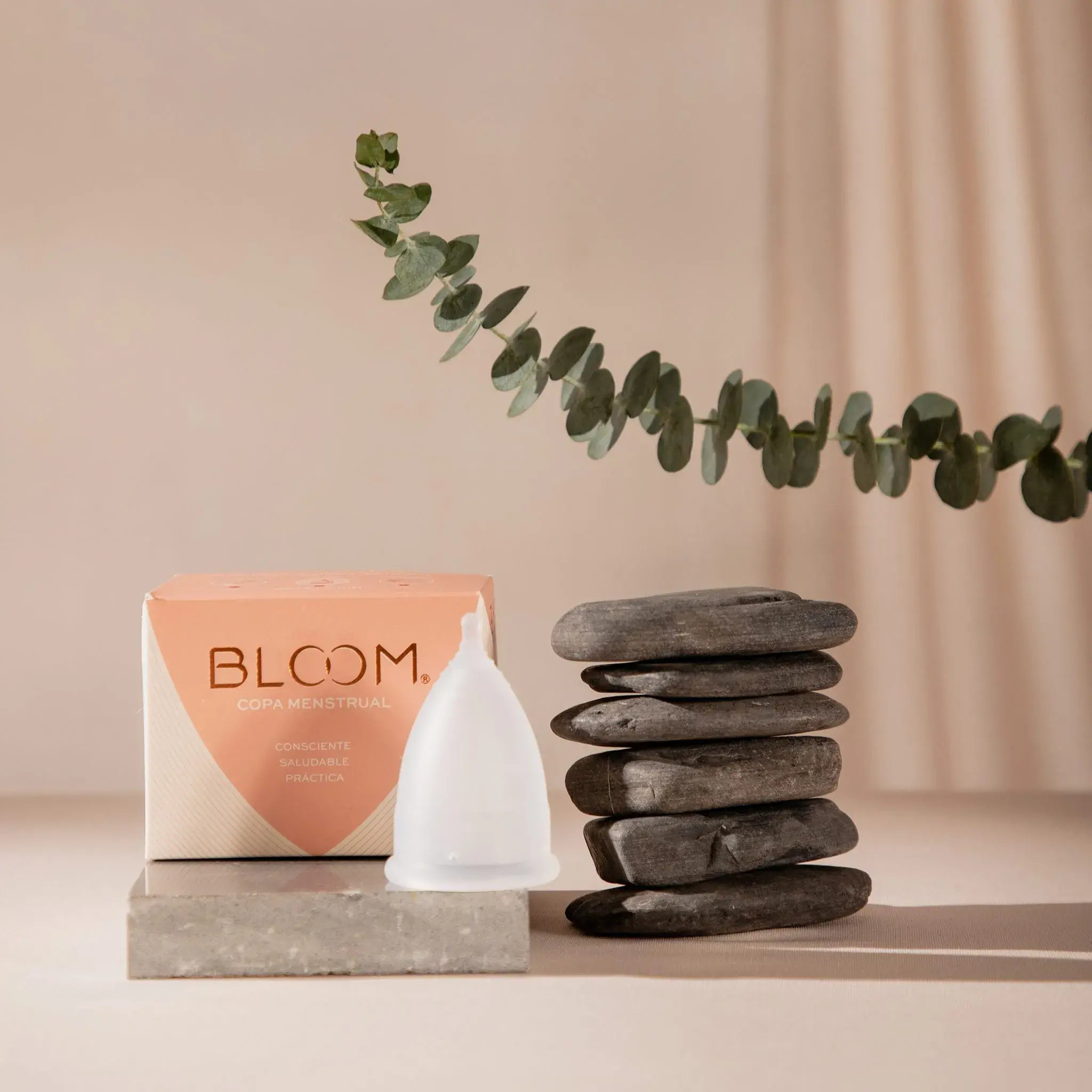 BLOOM Cup Short - BLOOMCUP