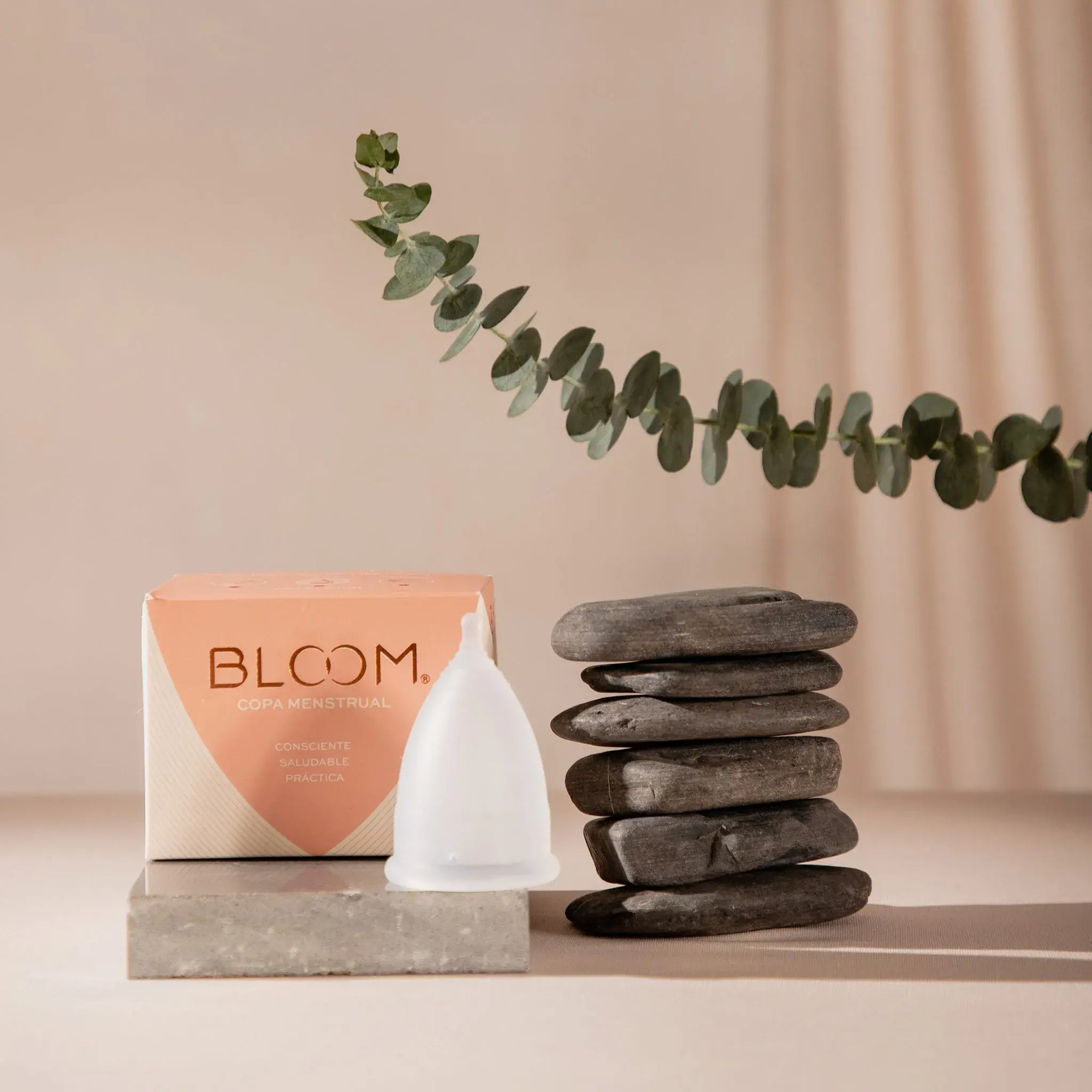 BLOOM Cup Tall - BLOOMCUP